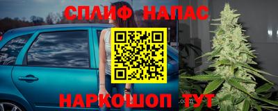 гидра Обь