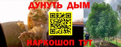 гидра Обь