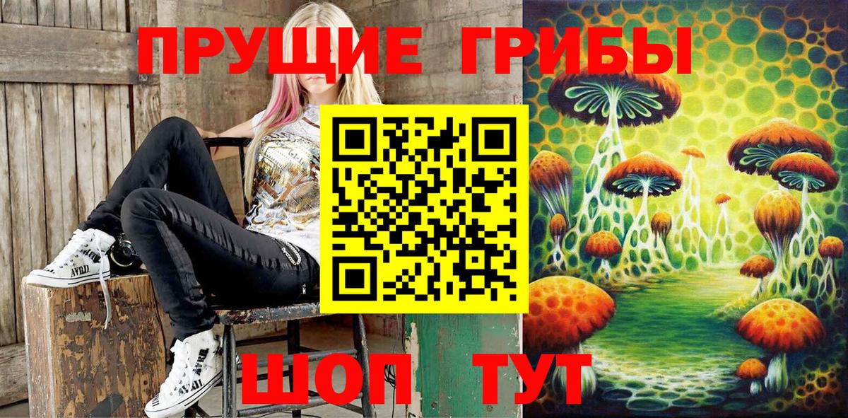 Прокопьевск  Псилоцибиновые грибы GOLDEN TEACHER  Вход с VPN  Псилоцибиновые грибы MAGIC MUSHROOMS 